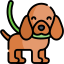 Dogs on Leash